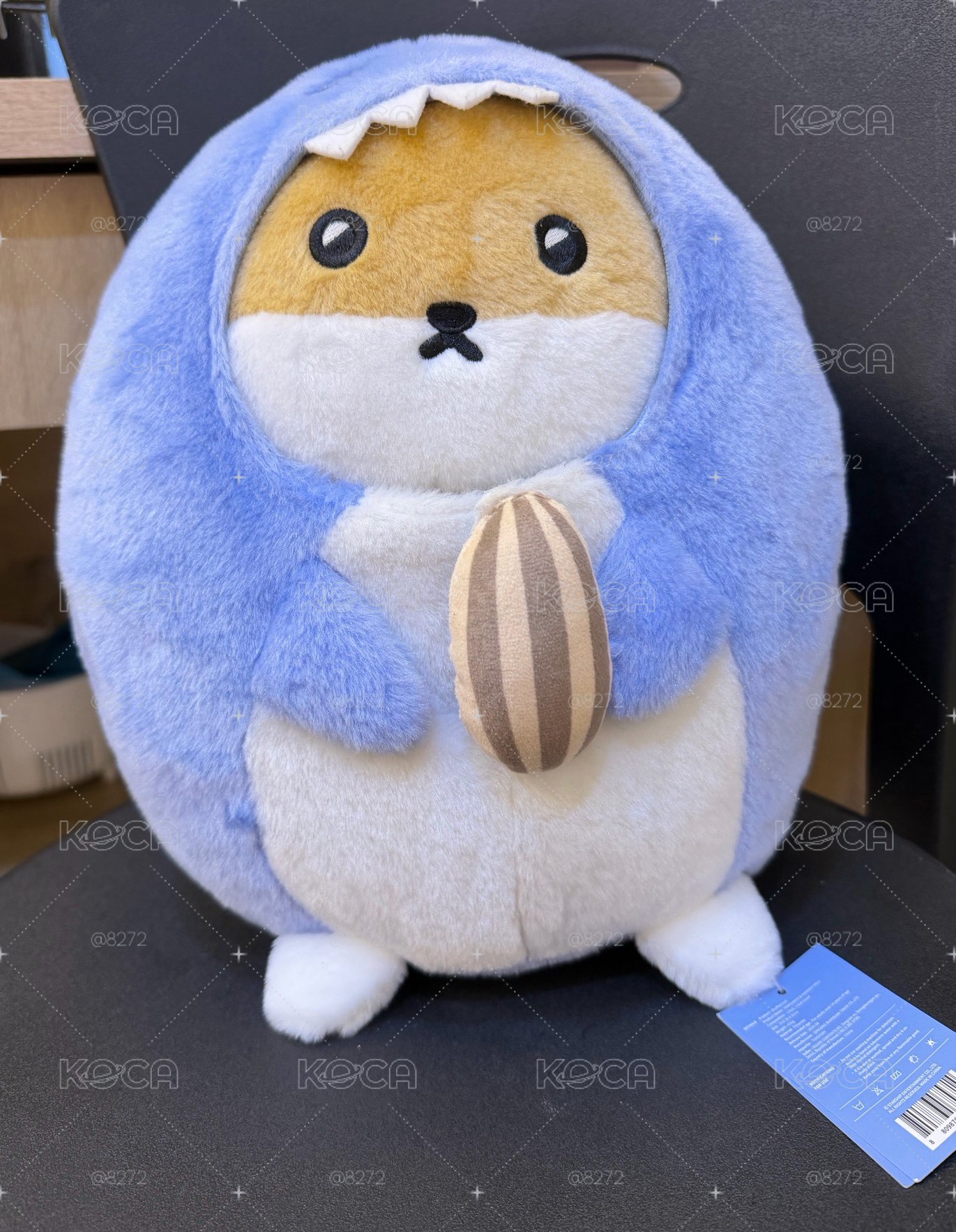 🐹🦈盤