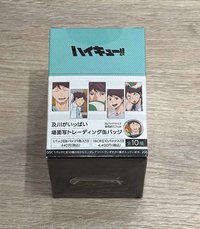 徽章(全新未拆)