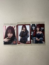 栗子(N11/N17/R23)
