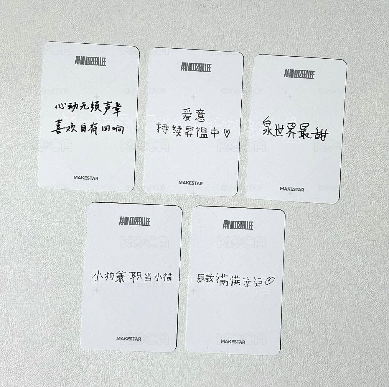 整套貓咪家族