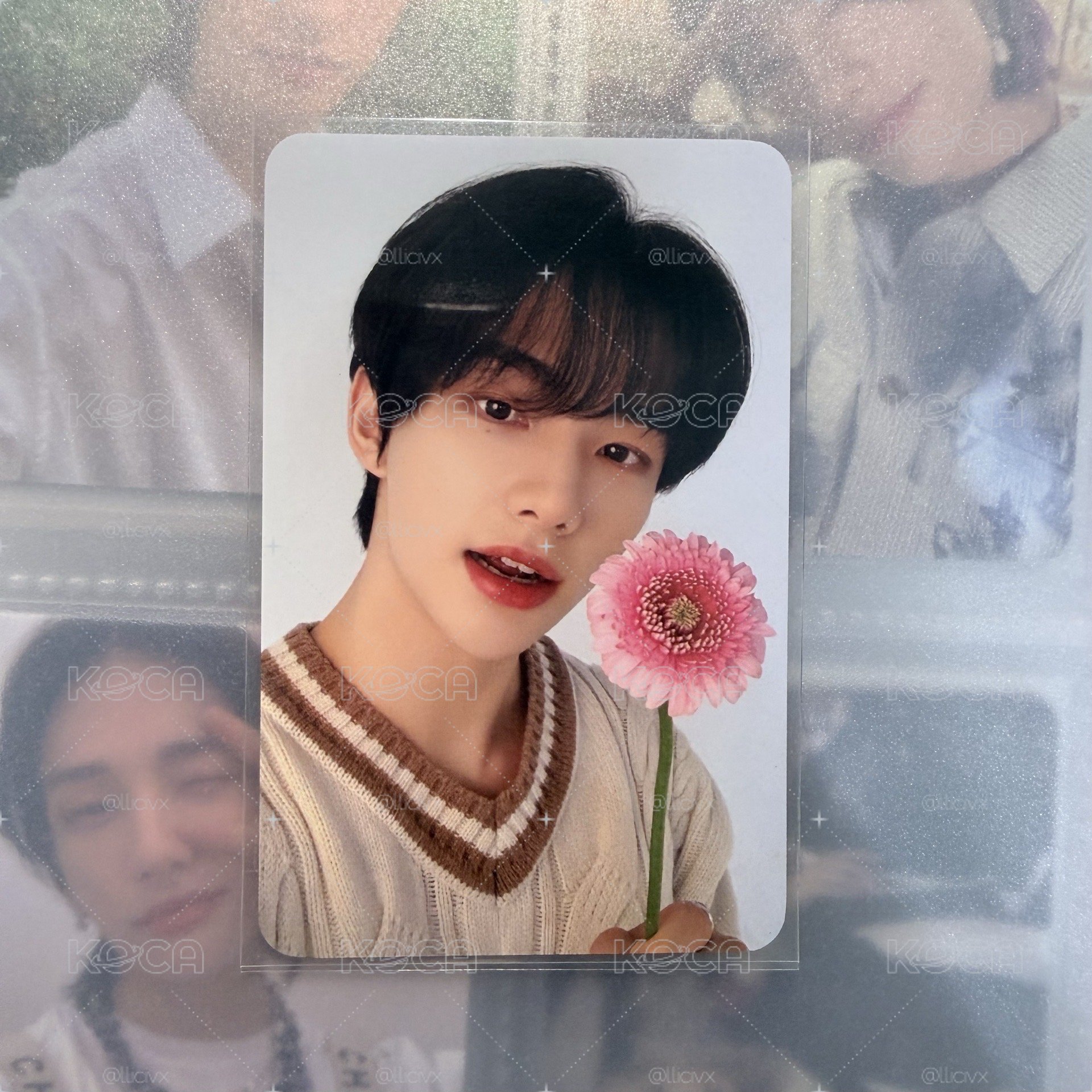 拿花辰