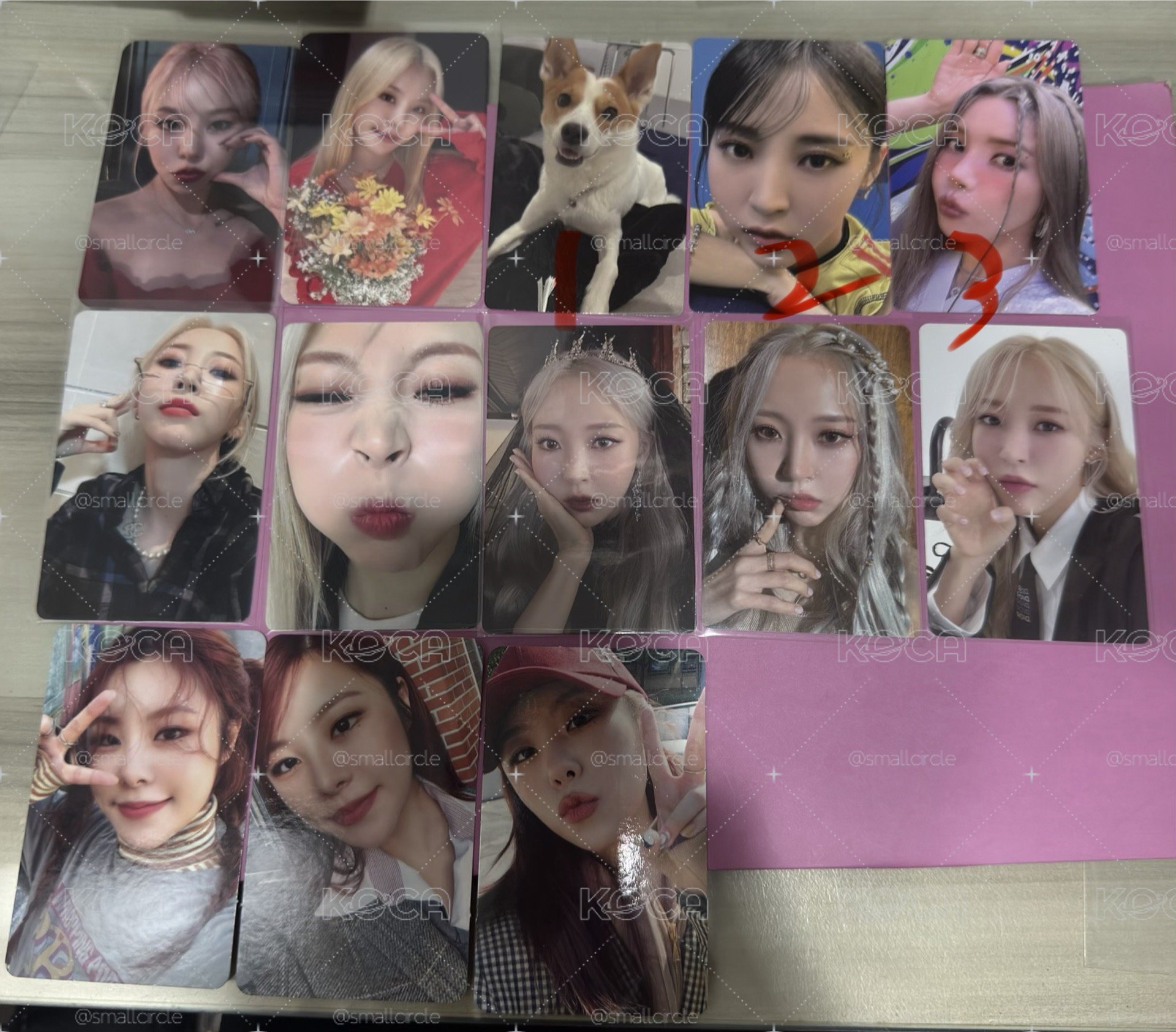 Mamamoo+小卡