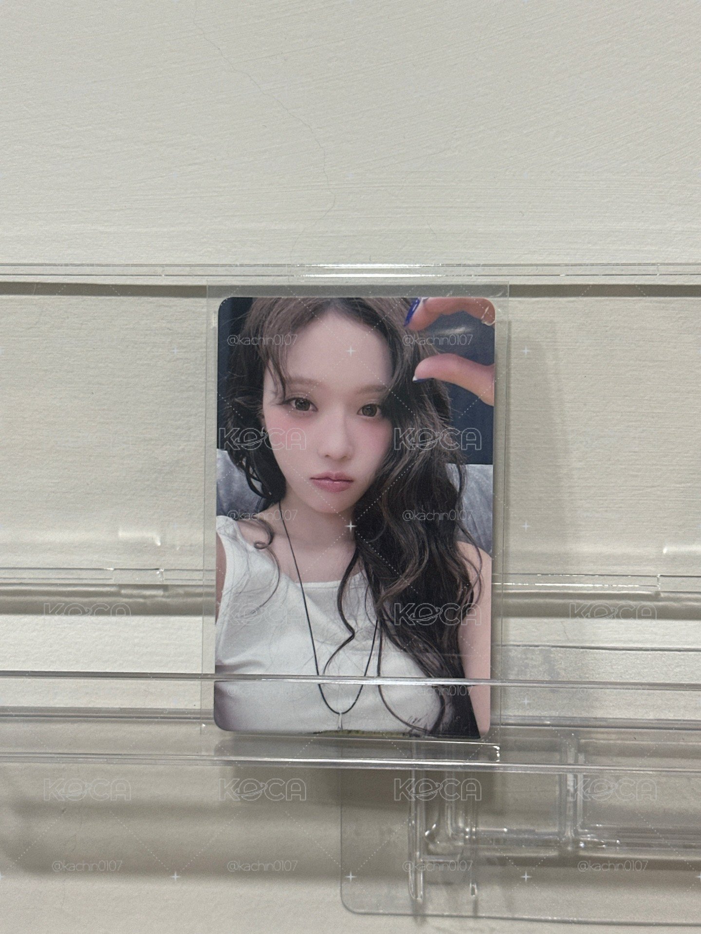 冬