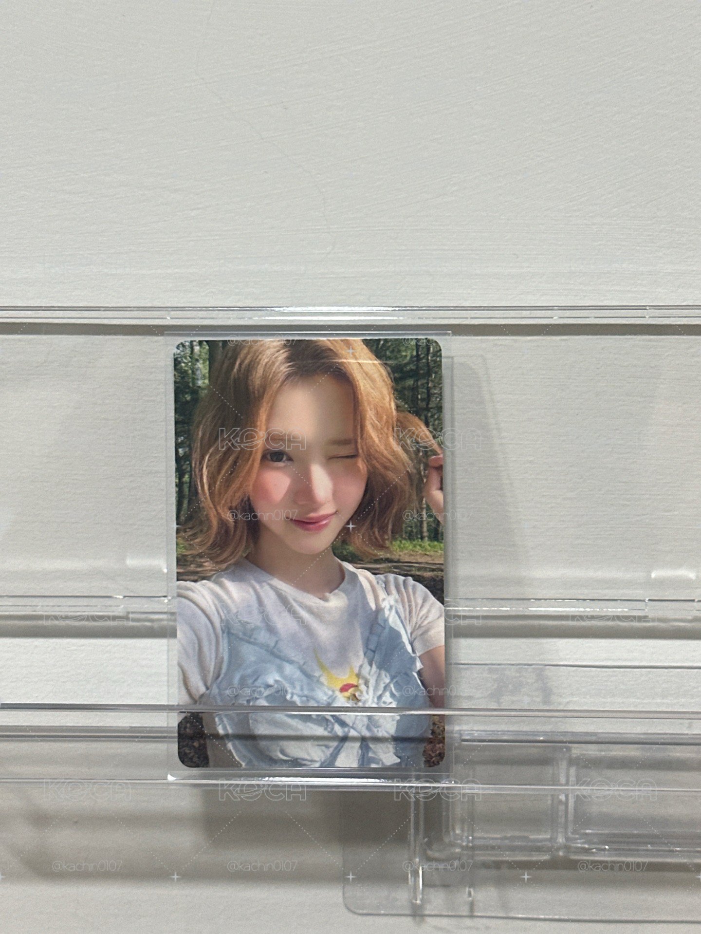 豆包