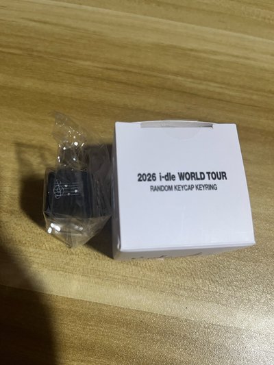 🏆 I-dle 世巡 帽鍵鑰匙圈 米妮手繪