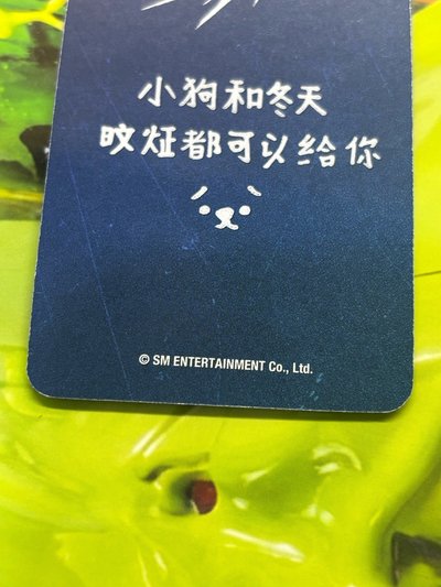 小狗和冬天 旼炡都可以給你