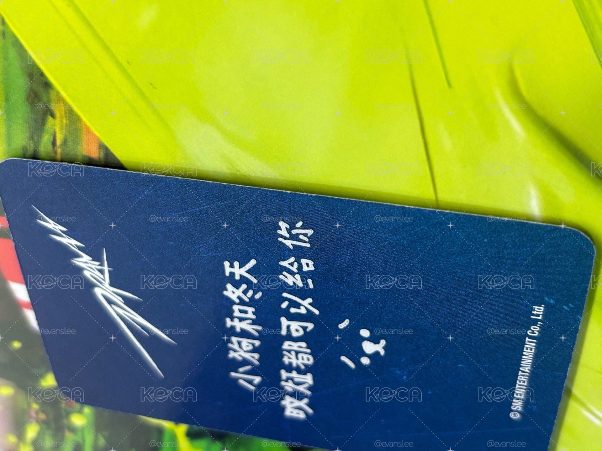 小狗和冬天 旼炡都可以給你
