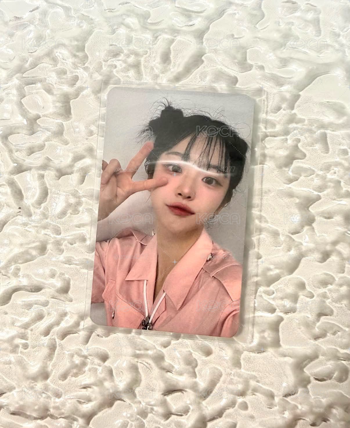 迷二 日特丹