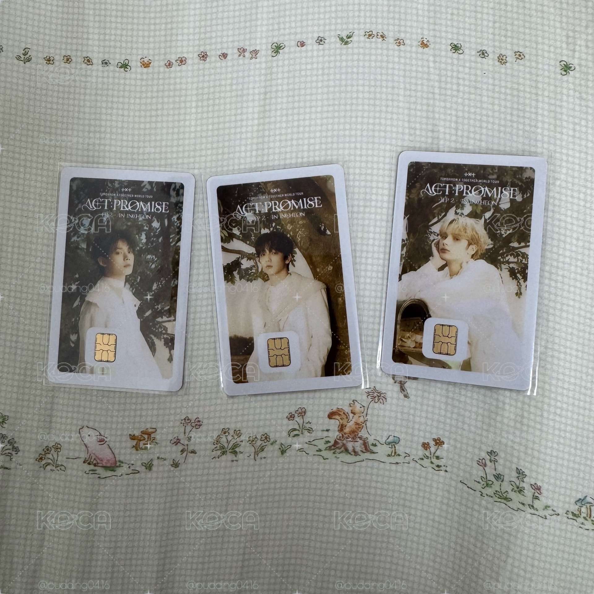24年namane交通卡 