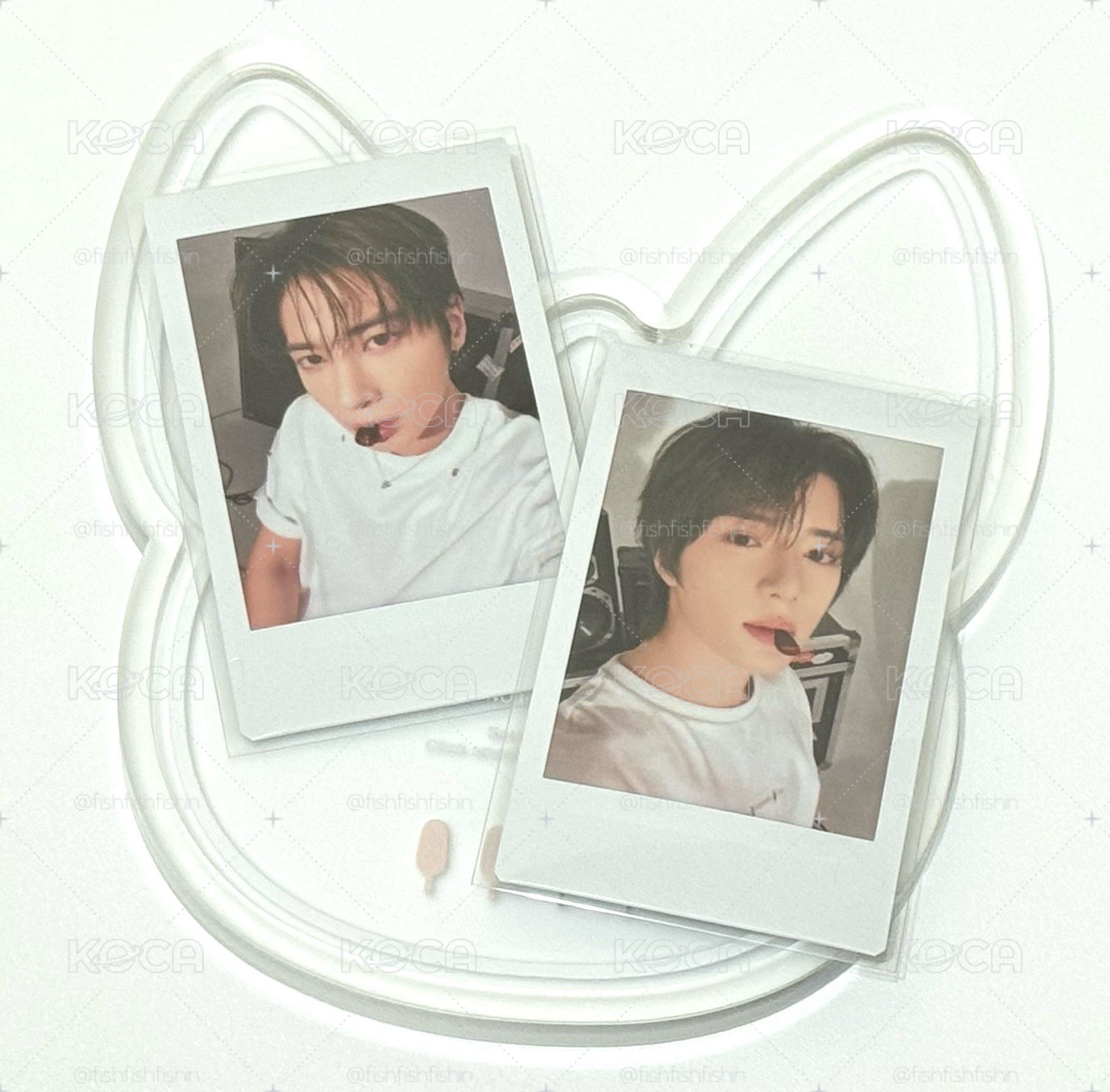 𓈒⚬𓏸○◌ TXT ◌○𓏸⚬𓈒 MOA CON日巡隨機拍立得🐻🐱<咬pick>