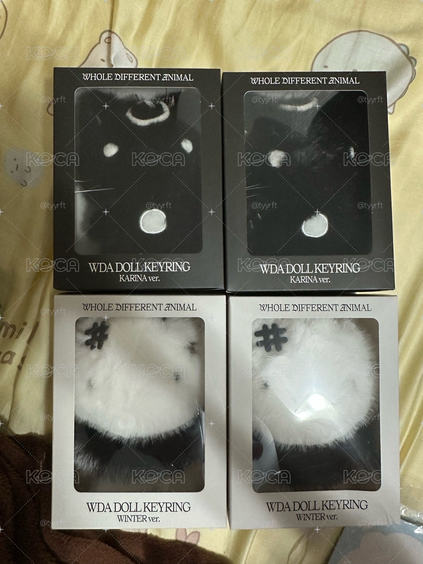 《現貨》WDA 盒娃 冬柚
