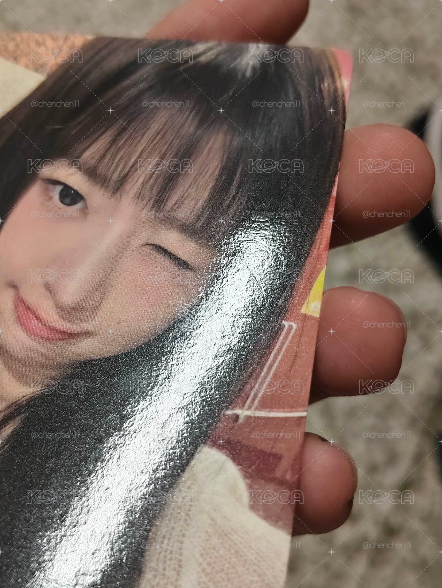 wink怜