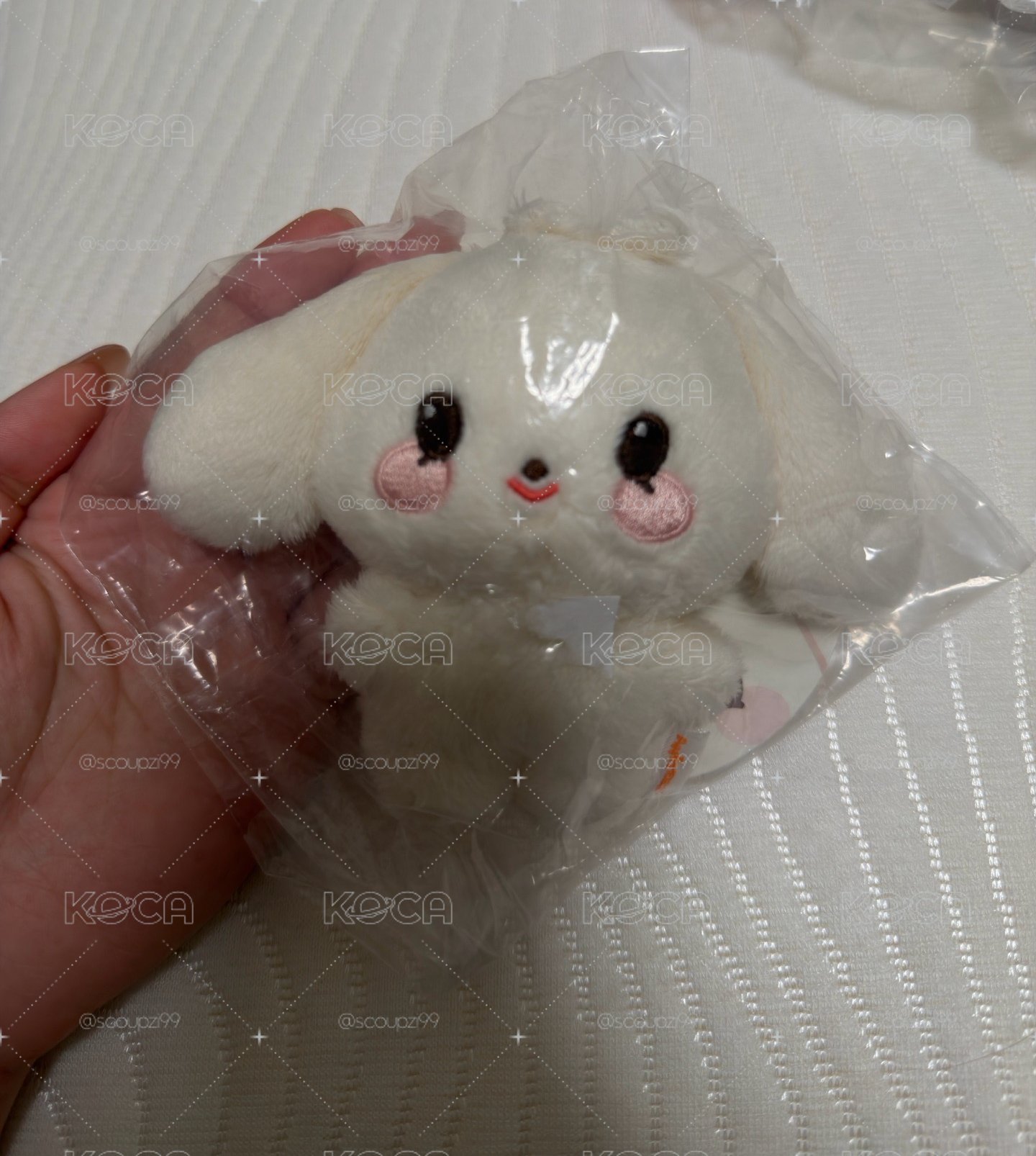 寶寶娃 尚（再販無卡版本）