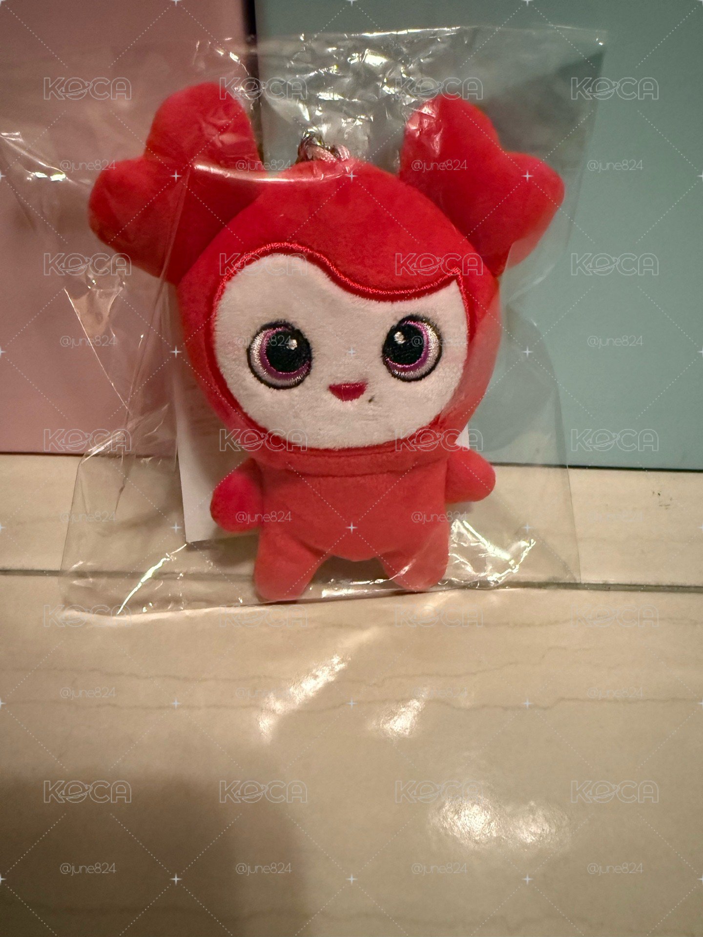 翻轉愛心 彩瑛 彩布里