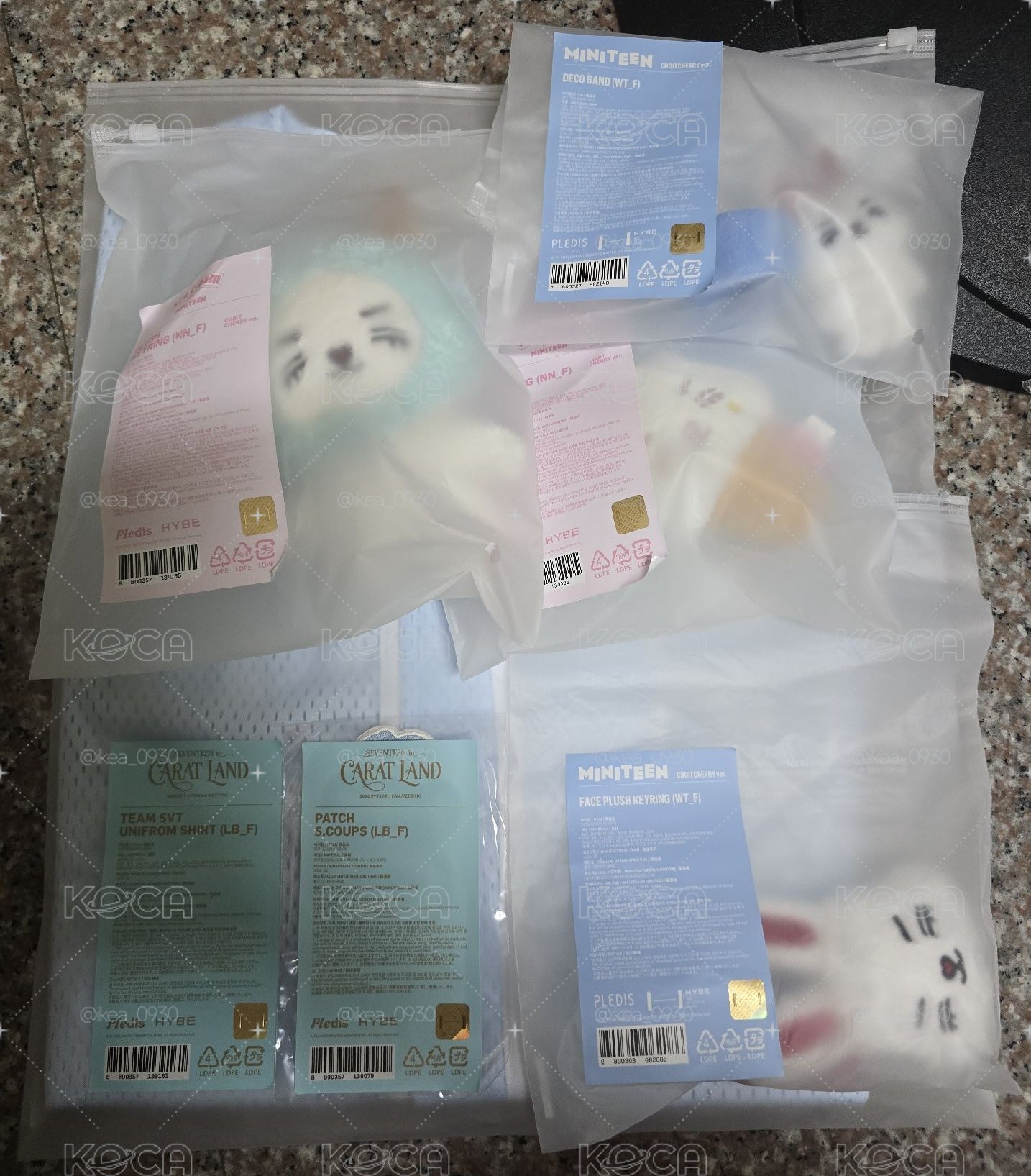 踏入第十年還是狀態巔峰的三世代🦁 哲小盤【商品資訊一定要看】