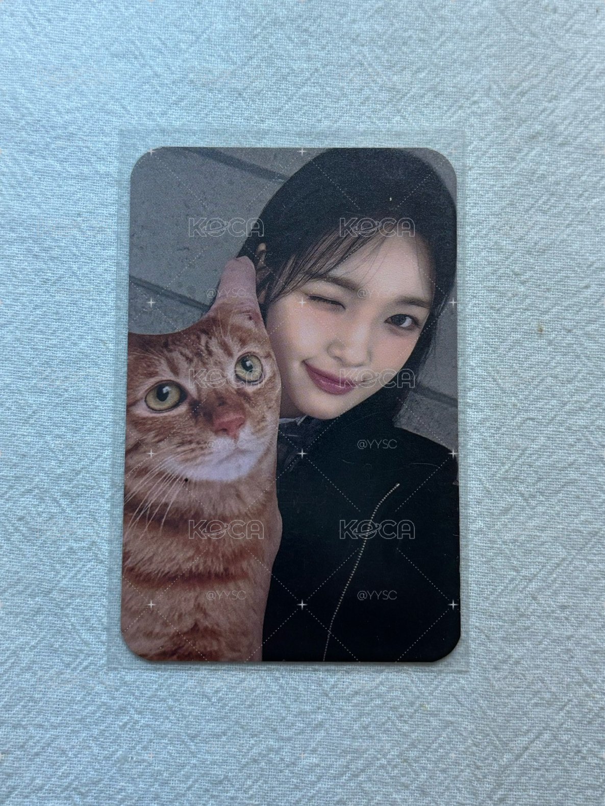 yuha 貓咪yuha 單一 sw 幸運卡 