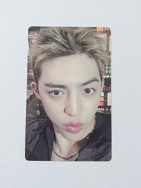 wvs 特典 哲
