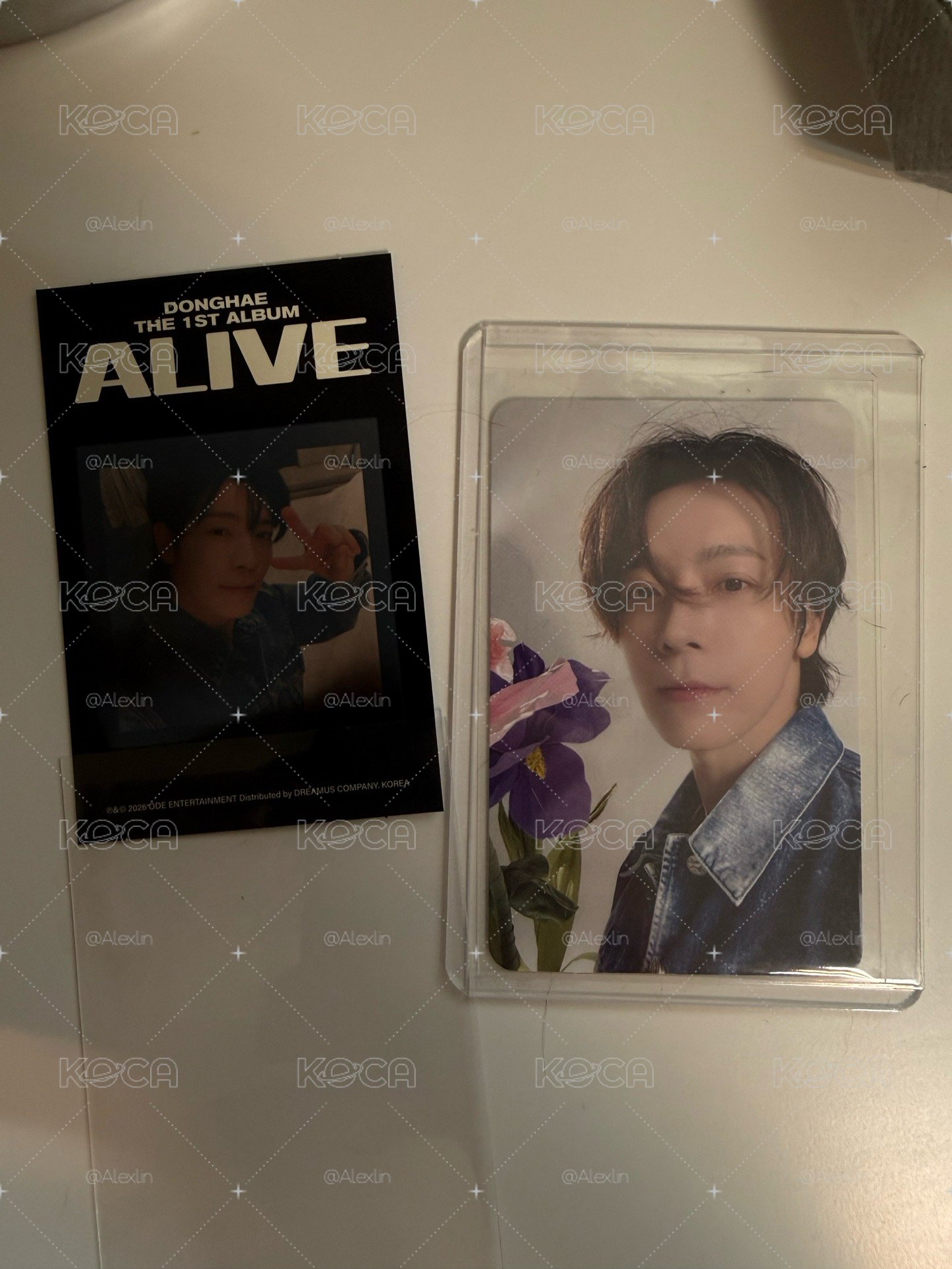 東海Alive fromm特典/熱感卡比ya