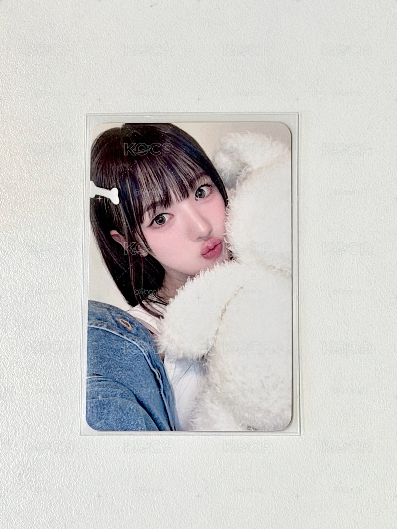 kiiikiii｜sui hl3.0小白狗