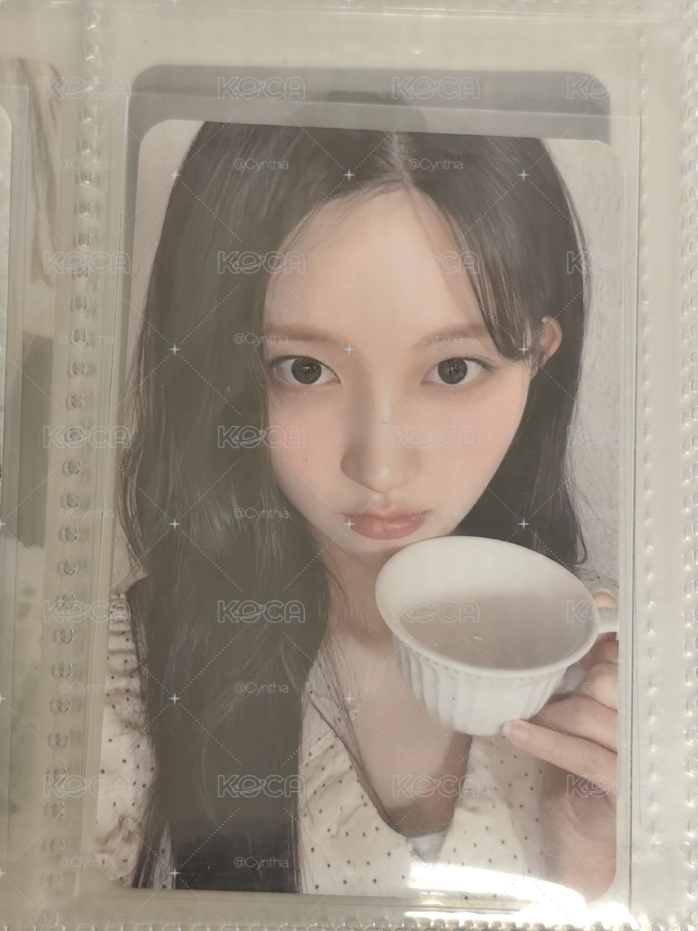 咖啡杯秋