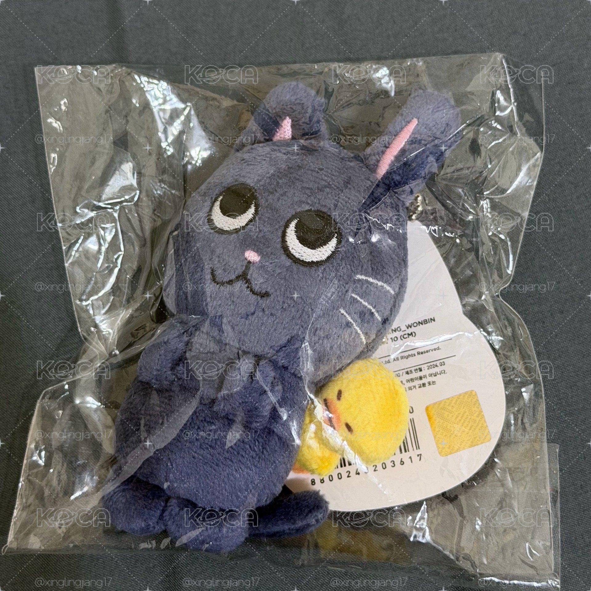 RIIZE原皮兔喵鴨僅拆有吊+原宿限定鑰匙圈