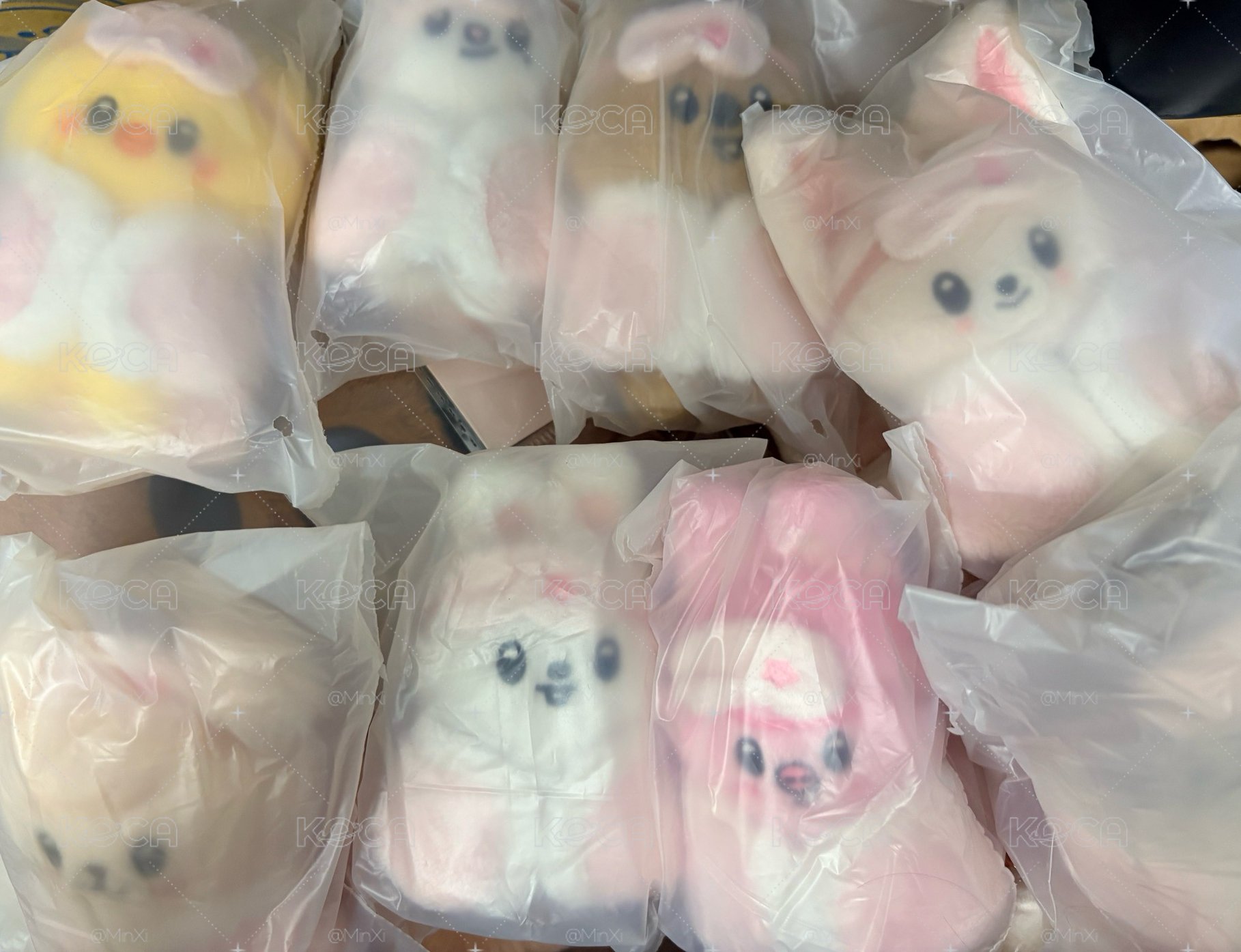 《全新未拆現貨》SKZOO PLUSH 10CM Ver. - STAY in Our Little House不收包手