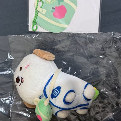 RIIZE球衣狗龍