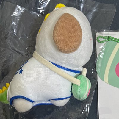 RIIZE球衣狗龍