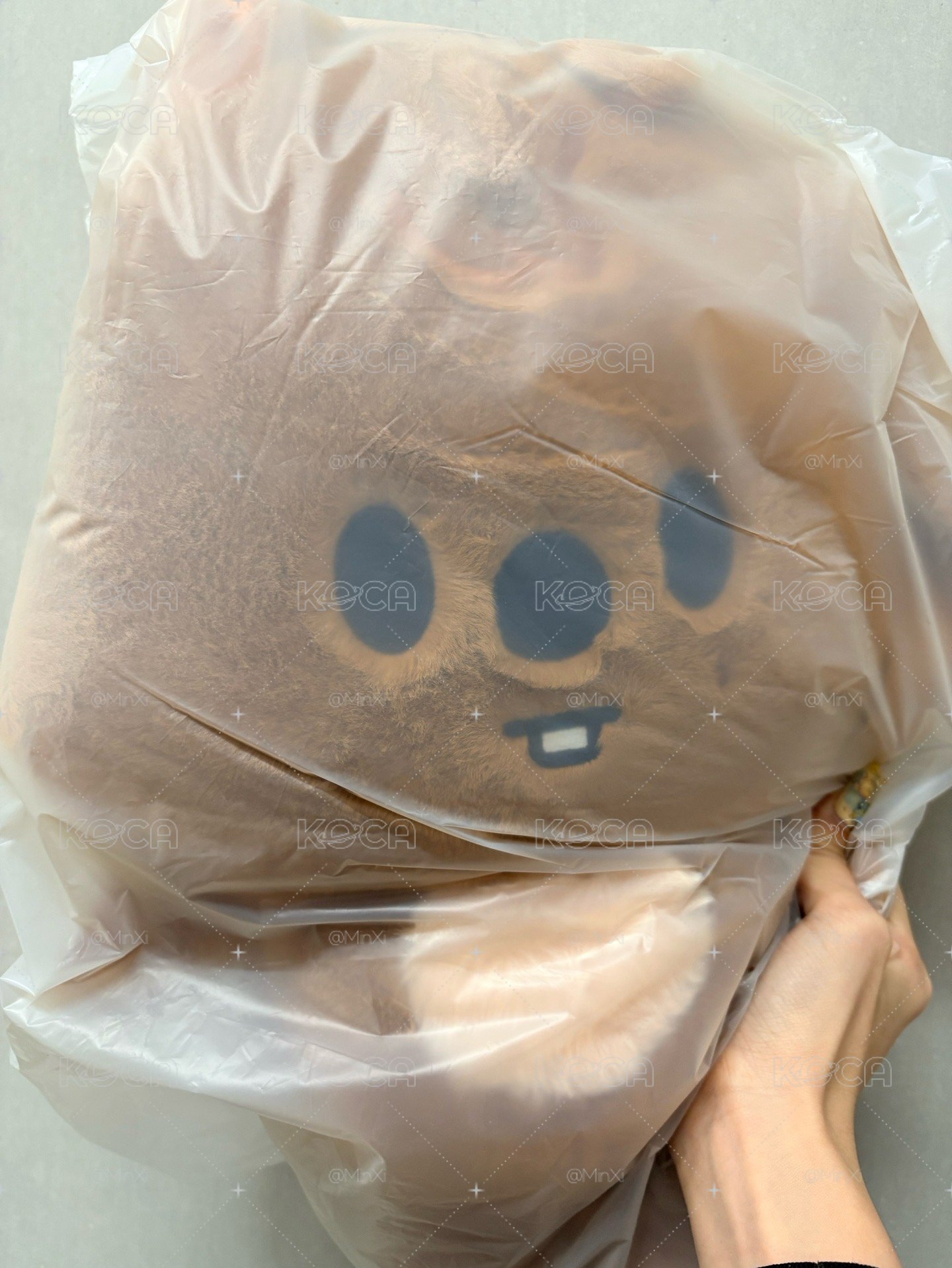 《全新未拆現貨》無特典不需包手SKZOO PLUSH BACKPACK-STAY inOur Little House