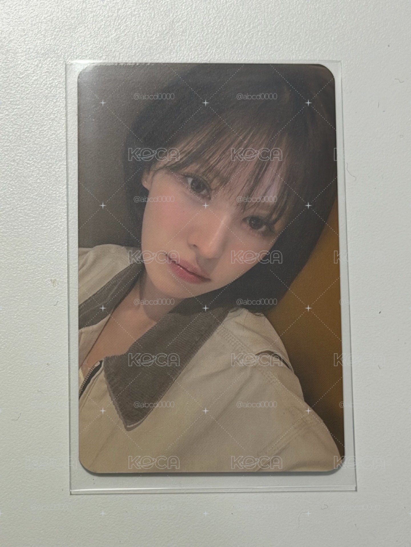 WENDY 櫻花季小卡