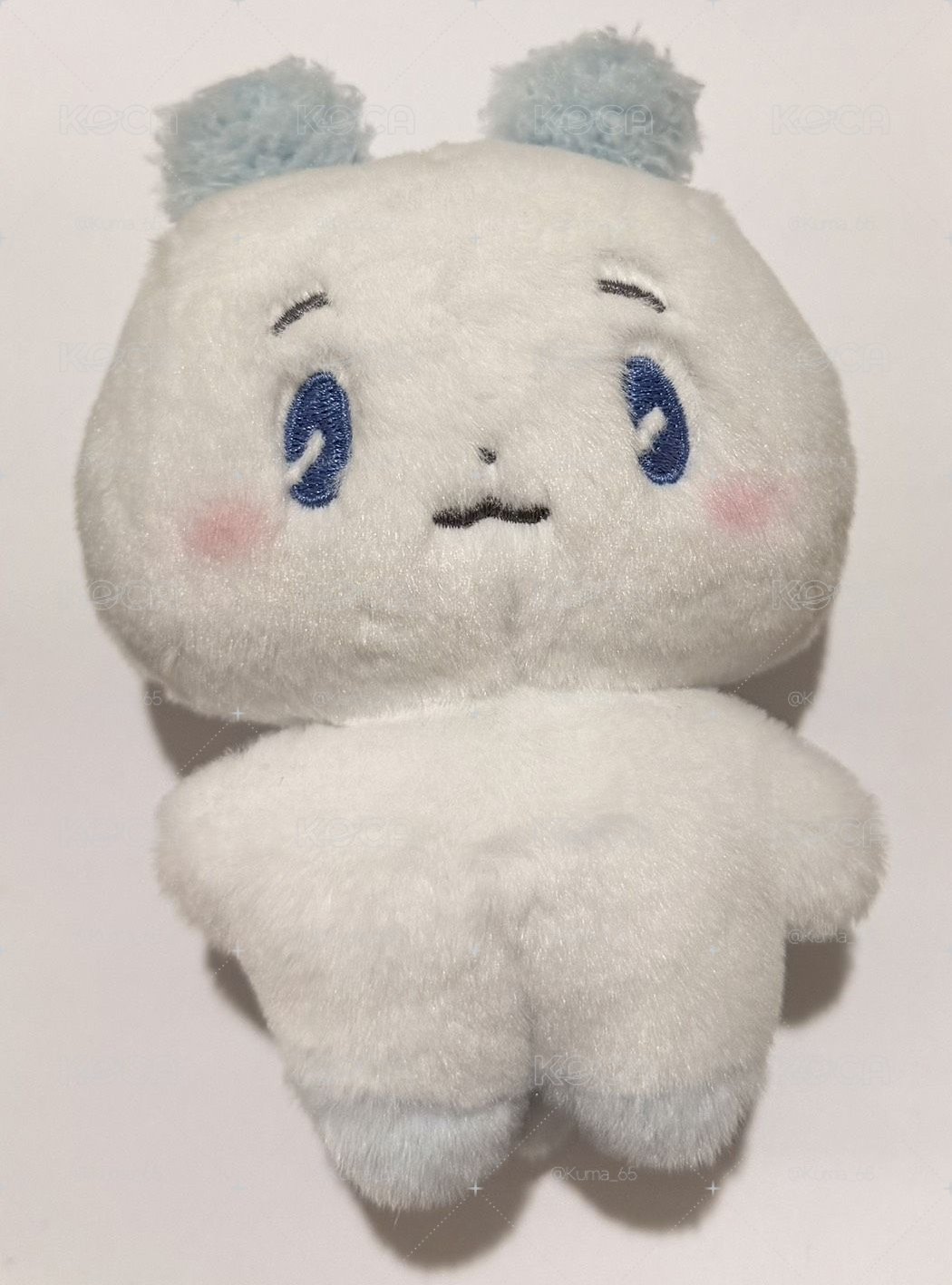 藝俊小盤