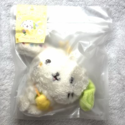 nct wish 原皮