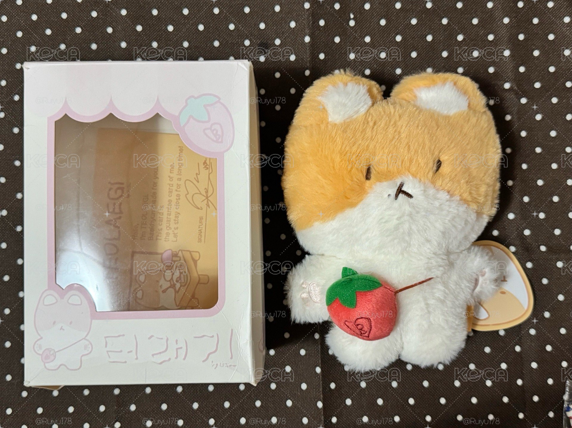 特萊奇20cm 