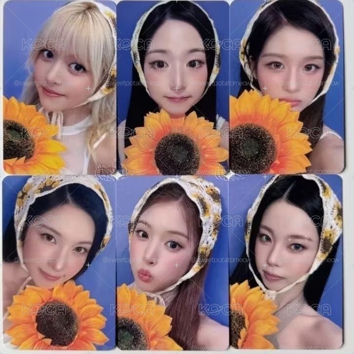 ms2.0線下 nswer向日葵