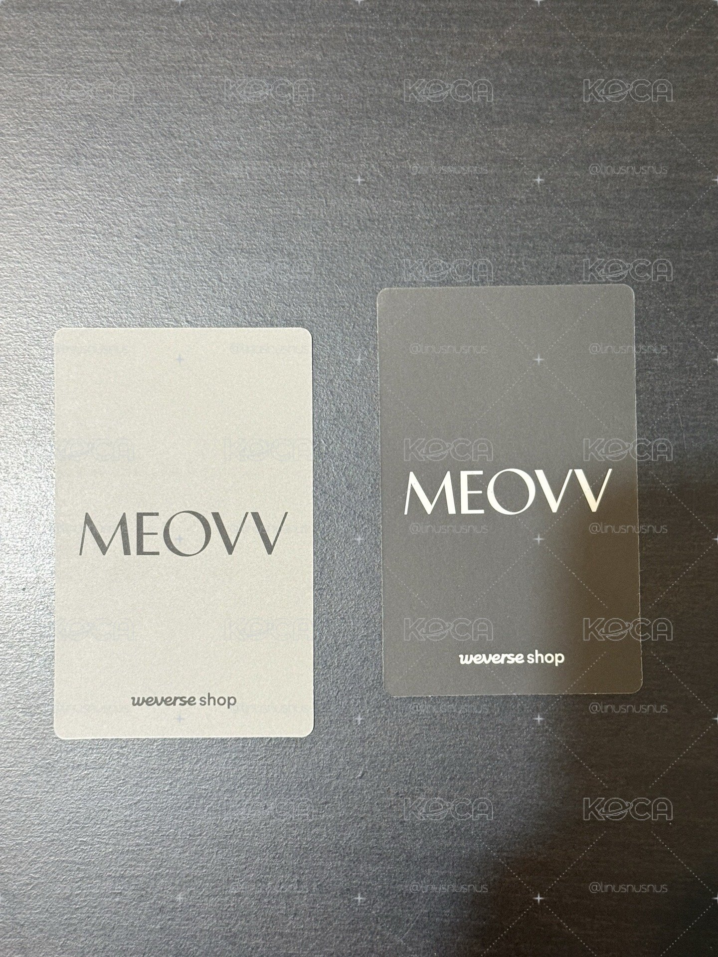 MEOVV BITE NOW wvs 娃專 ver/單封 ver 特典卡 