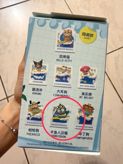 miniso 名創優品 夏日黑皮衝浪盲盒 三麗鷗 美樂蒂 漢頓 庫洛米 冰箱貼