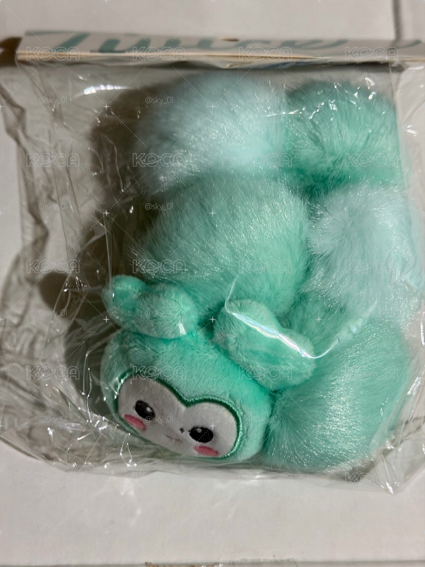 現貨 新國立 mina手燈環