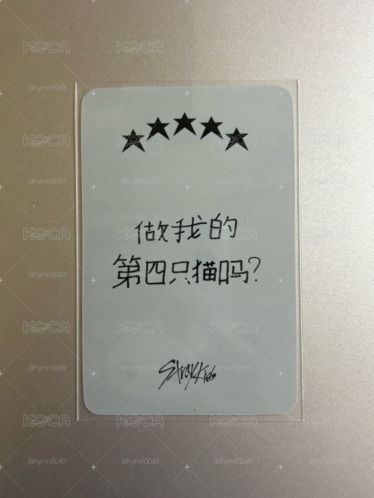 旻🐰中背 （做我的第四隻貓嗎？）