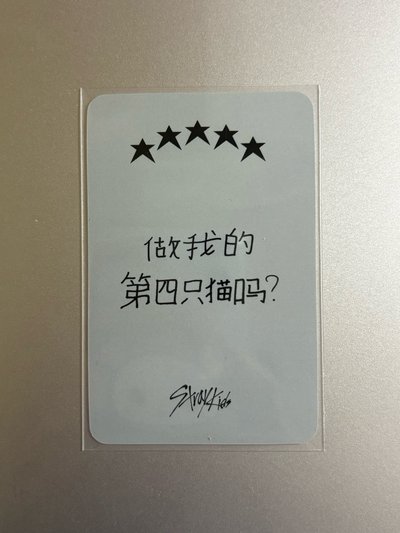 旻🐰中背 （做我的第四隻貓嗎？）