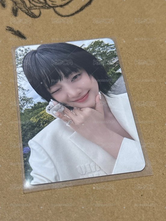 妮lo無尾熊