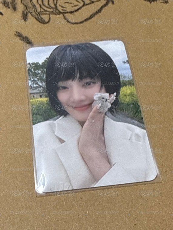 妮lo無尾熊