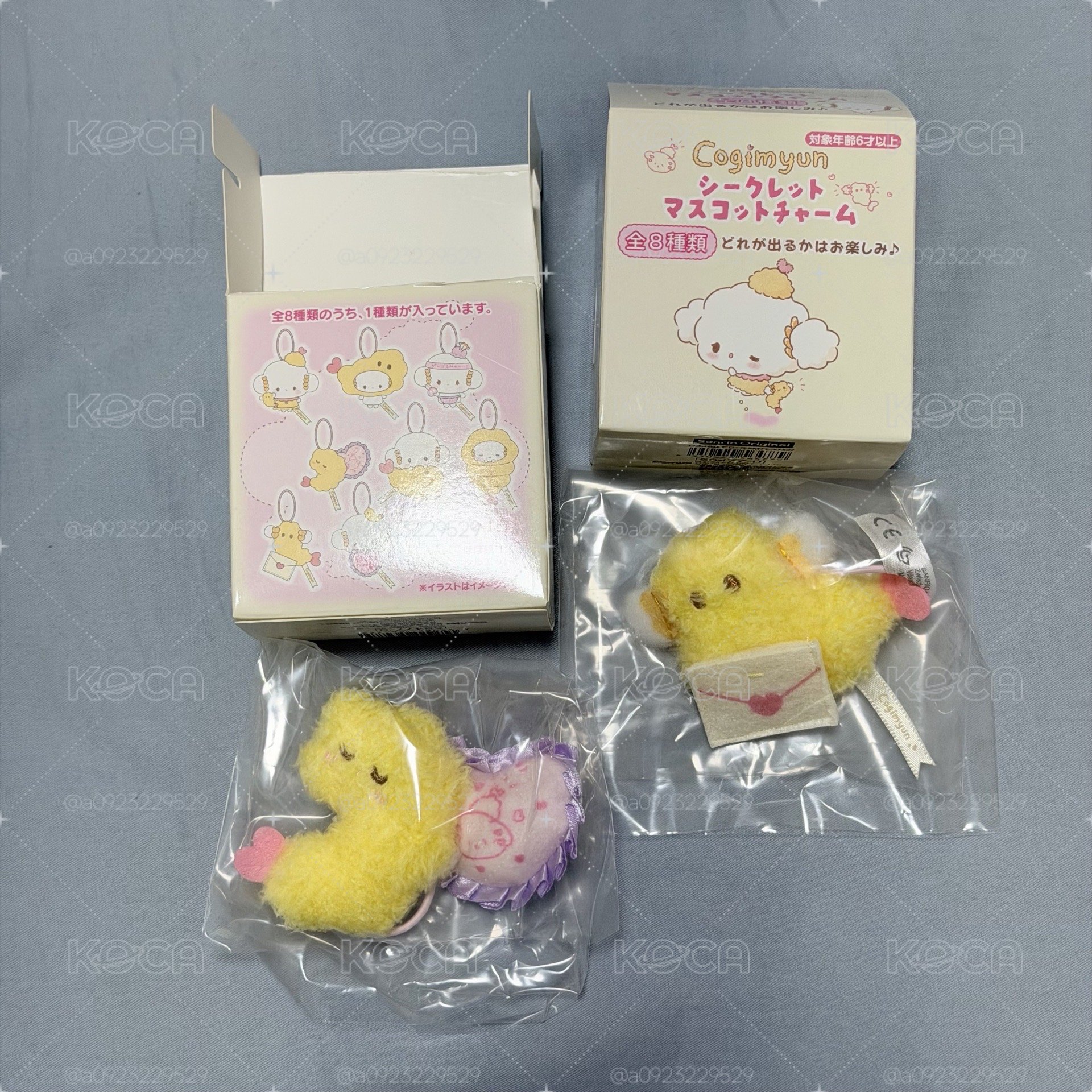 ［現貨］小麥粉生日系列盲盒 確認款🍤