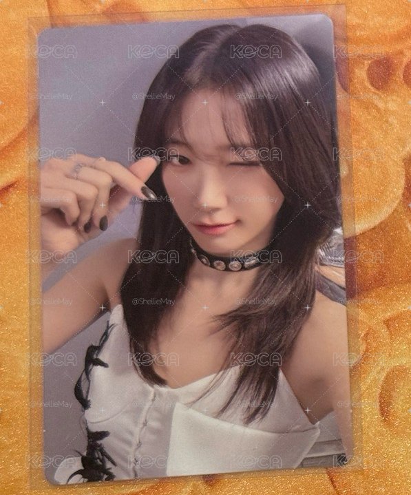 SPAGHETTI AAA 單封 葉