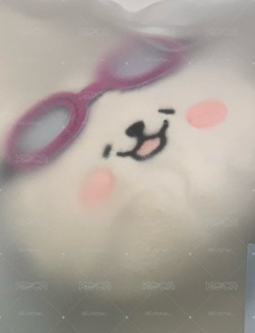 葉 🧪 零錢包+滿額卡