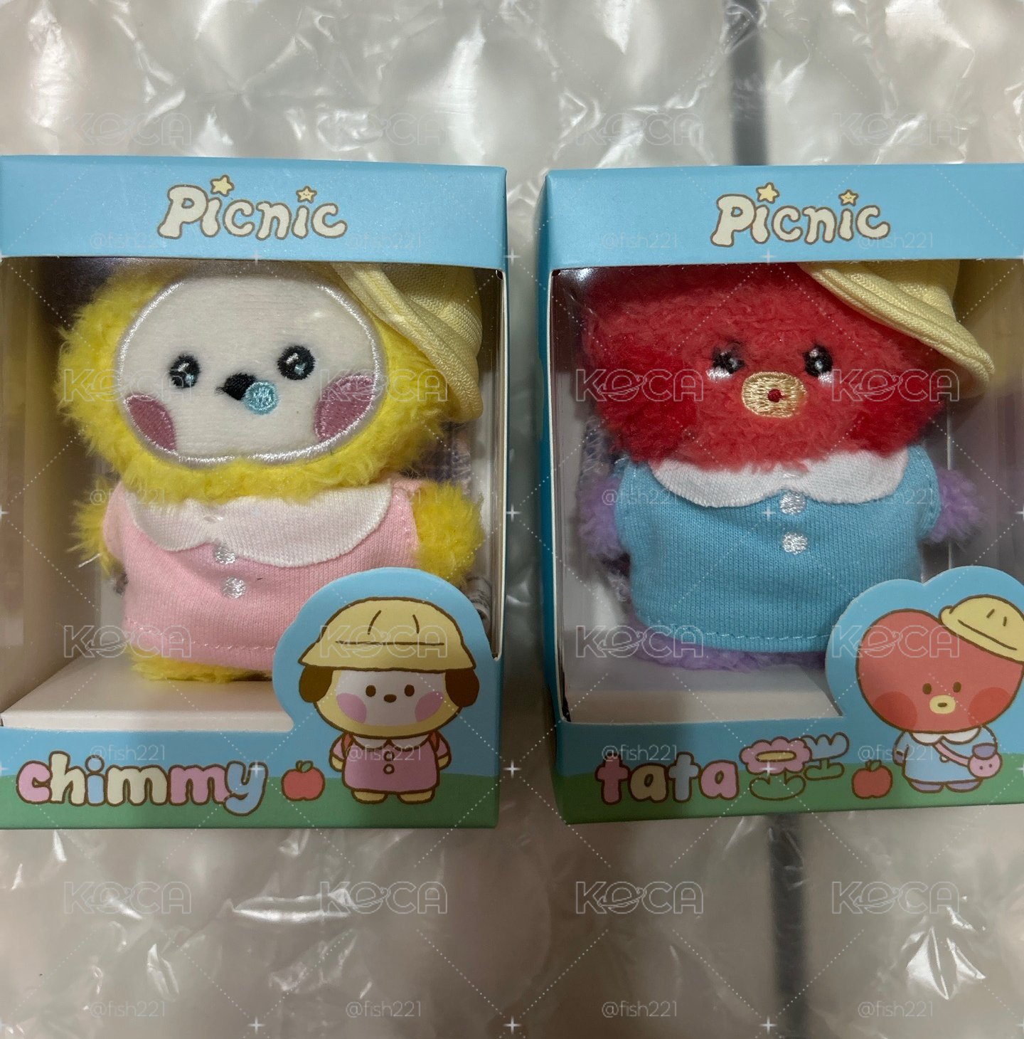 BT21 野餐系列 盒娃 ss娃