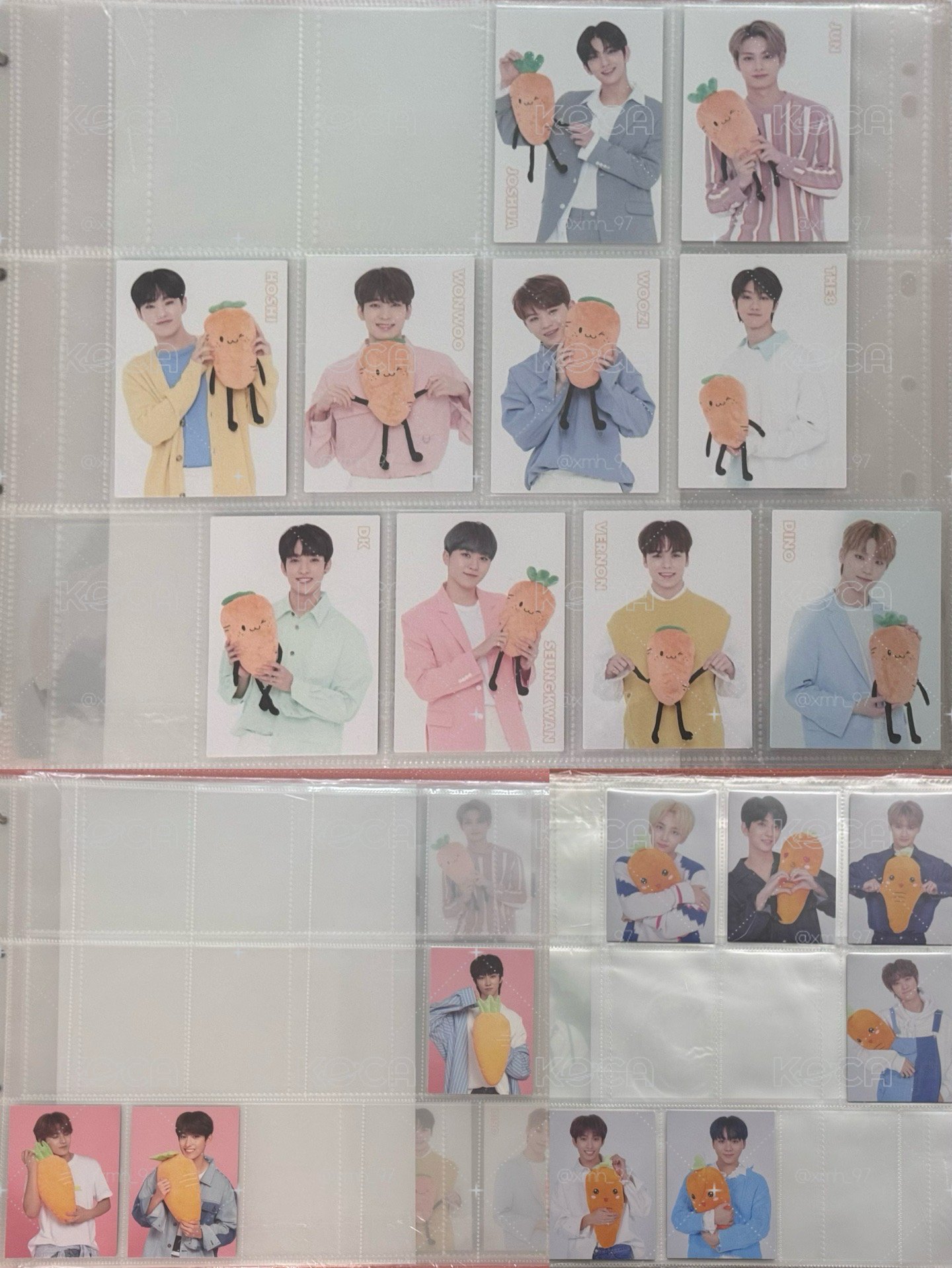 SEVENTEEN 蘿蔔卡