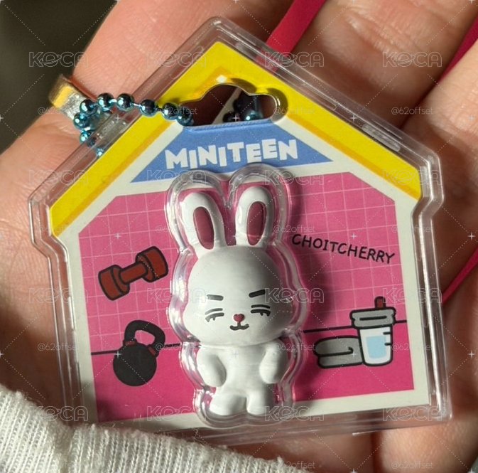🍒Miniteen喆食玩吊飾