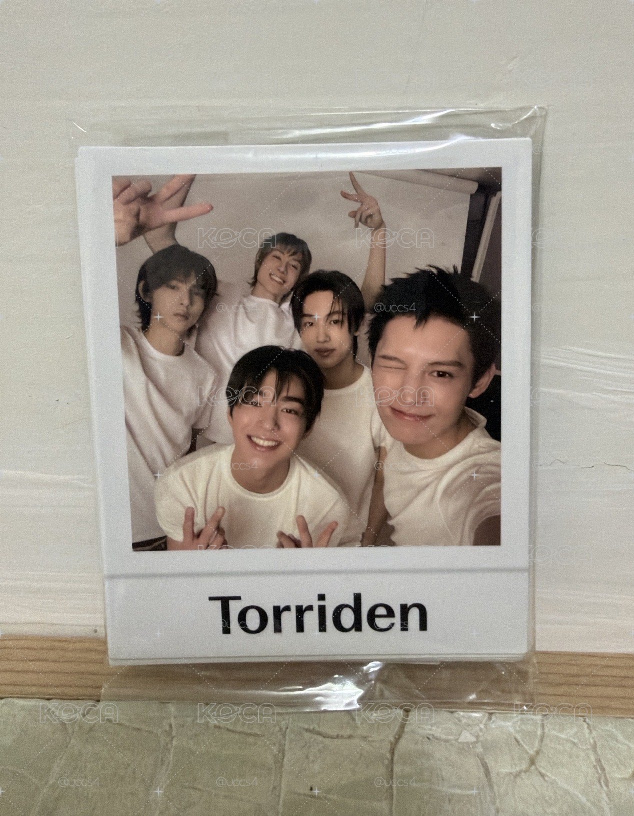 torriden一套