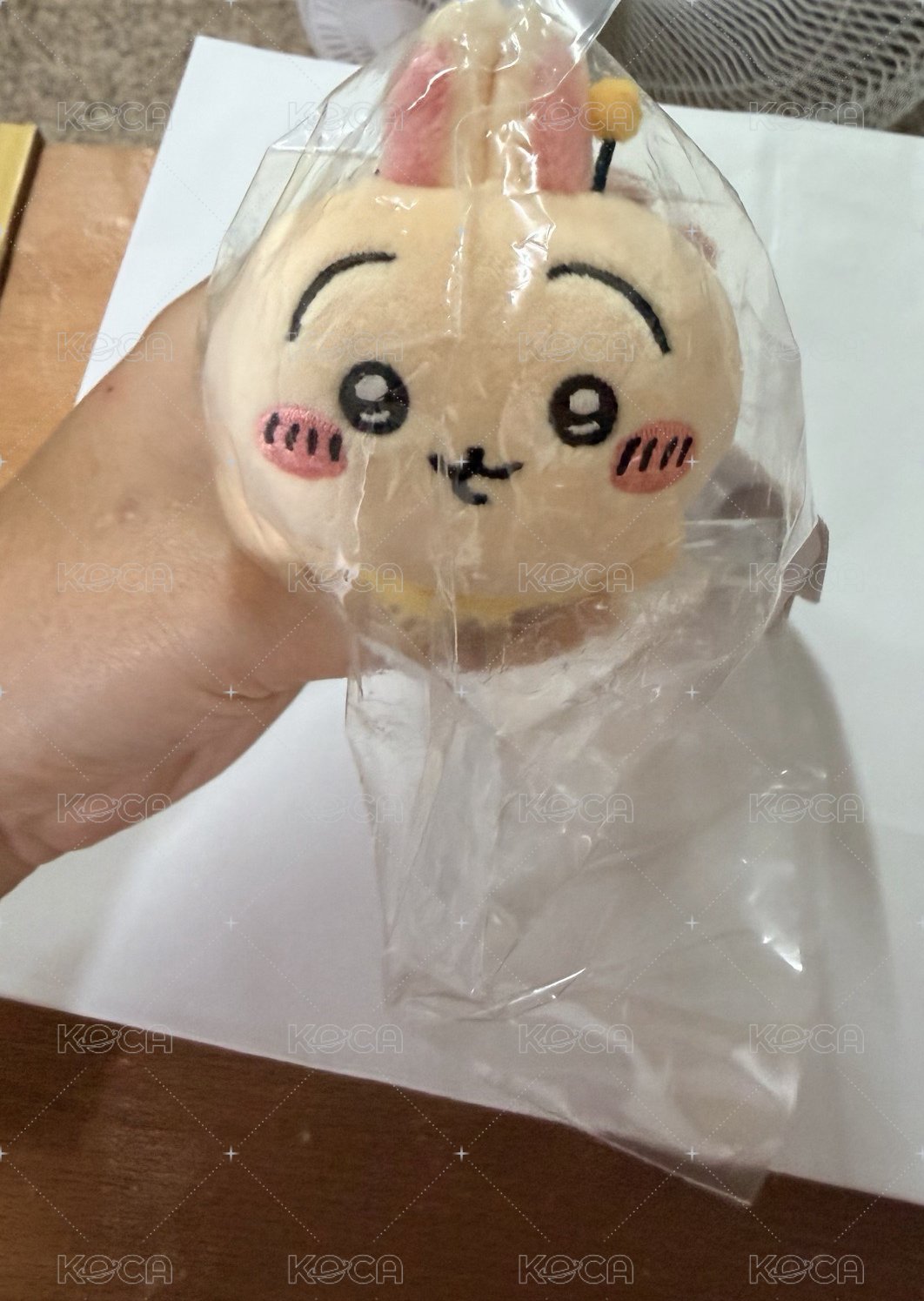 蜜蜂兔