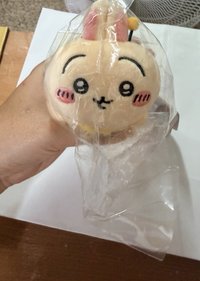 蜜蜂兔